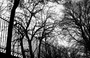 Pere Lachaise